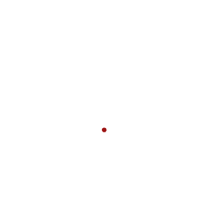 Daniel's Educational Tours
